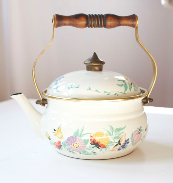 Vintage ASTA Enamelware German Floral Cooking Tea Pot Kettle
