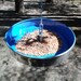1970 - 1973 Ford Mustang, Torino and Maverick Hubcap Bird Feeder - Hanging Blue Birdfeeder - 1971 1972