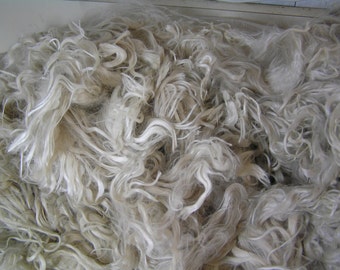 Suri Alpaca Locks, White, Unwashed, 8" Average, 3oz