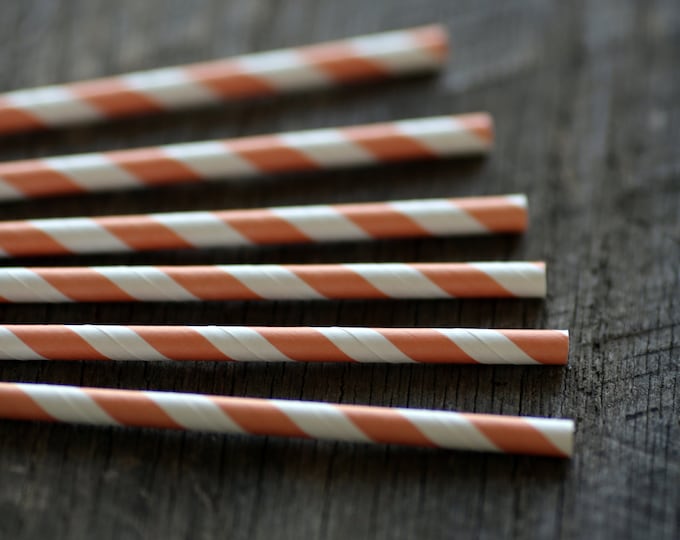 Sweet Peach- Paper Straws- Set of 12