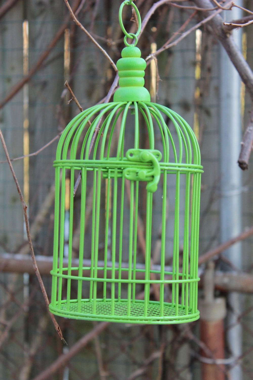 Lime Green Bright Bird Cage Birdcage Metal by