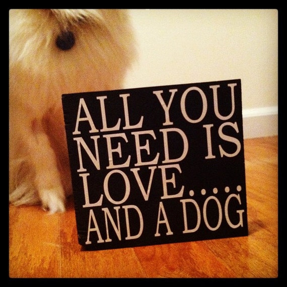 all you need is love and a dog pillow