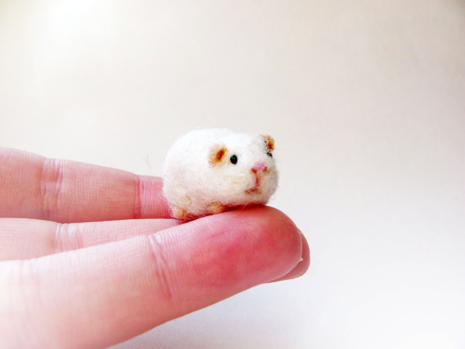 Miniature Guinea Pig