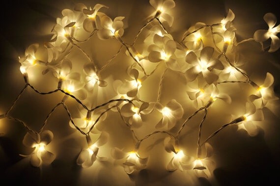 White Frangipani flower string lights for PatioWeddingParty