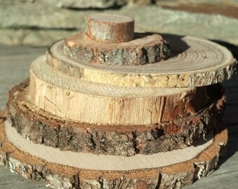 DIY Weathered Natural Branch Craft Slices || Mosaic MIXED Size BLANK || wild harvested || Rune gifts Fun fairy dwellings