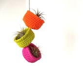Spring Neons - Hanging Air Plant Trio in Colorful Cotton Bowl Planters