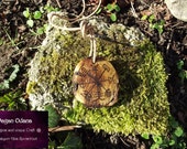Wheel of the Year Amulet - Mistletoe Druid magic- Pagan Wheel of seasons
