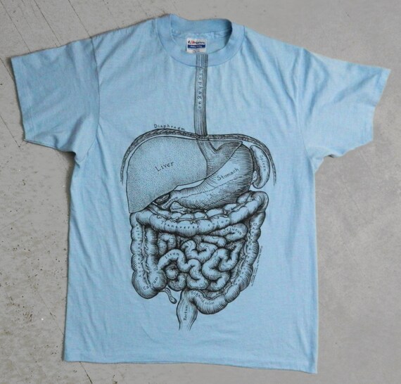 t shirt digestive system