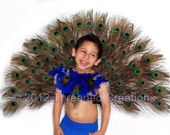 Peacock Spray - Peacock Tail - Peacock Costume - Peacock Wings - Carnival Costume - Boy Carnival Costume