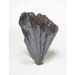 Goethite Crystal Spray Lake George Colorado Classic Mineral Specimen