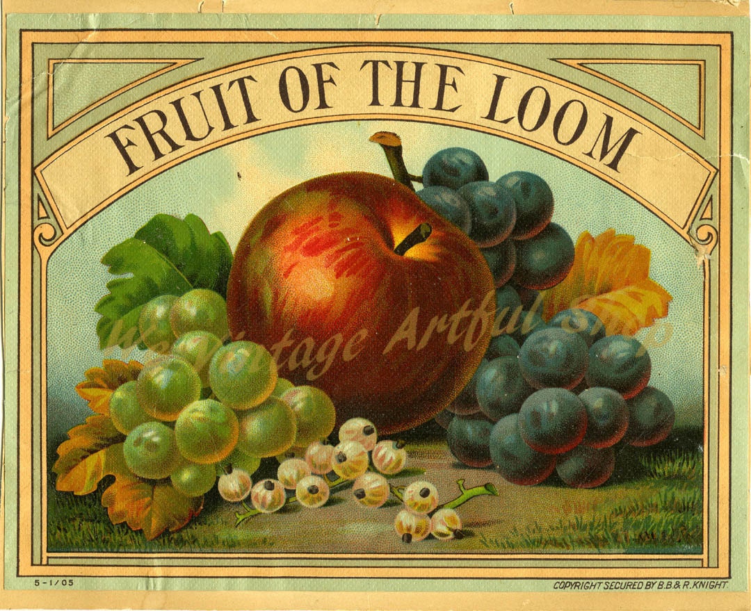 antique fruit of the loom fruit label apples grapes currant