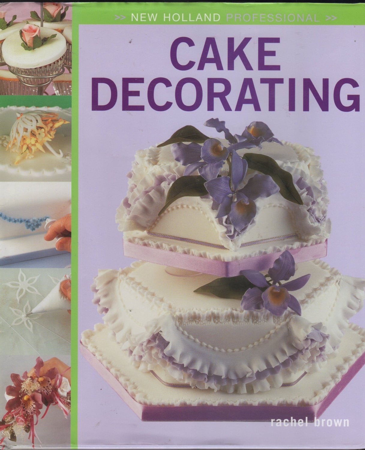 New Holland Professional Cake Decorating Book by Rachel Brown