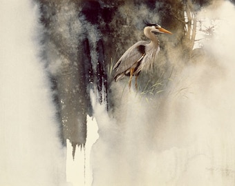 Great Blue Heron by Morten E Solberg