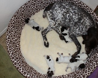 Whelping box cover for medium wading pool - 2 pack (pool not included)