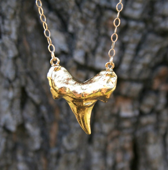 Gold Shark Tooth Necklace by WafflesandHoney on Etsy