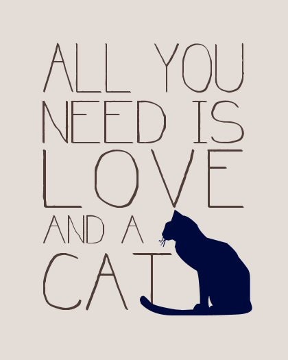 All You Need is Love and a Cat Quote Print Cat Lovers Poster