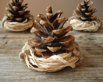 Popular items for pine cone favor on Etsy