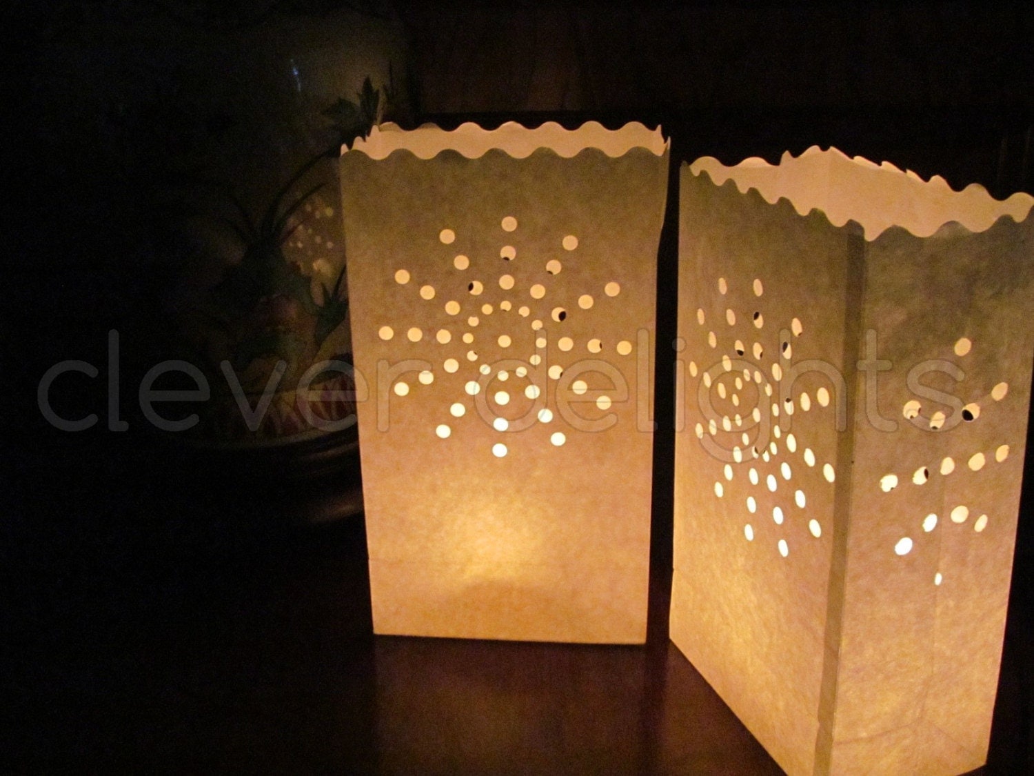 20 Luminary Bags White Sunburst Design Wedding