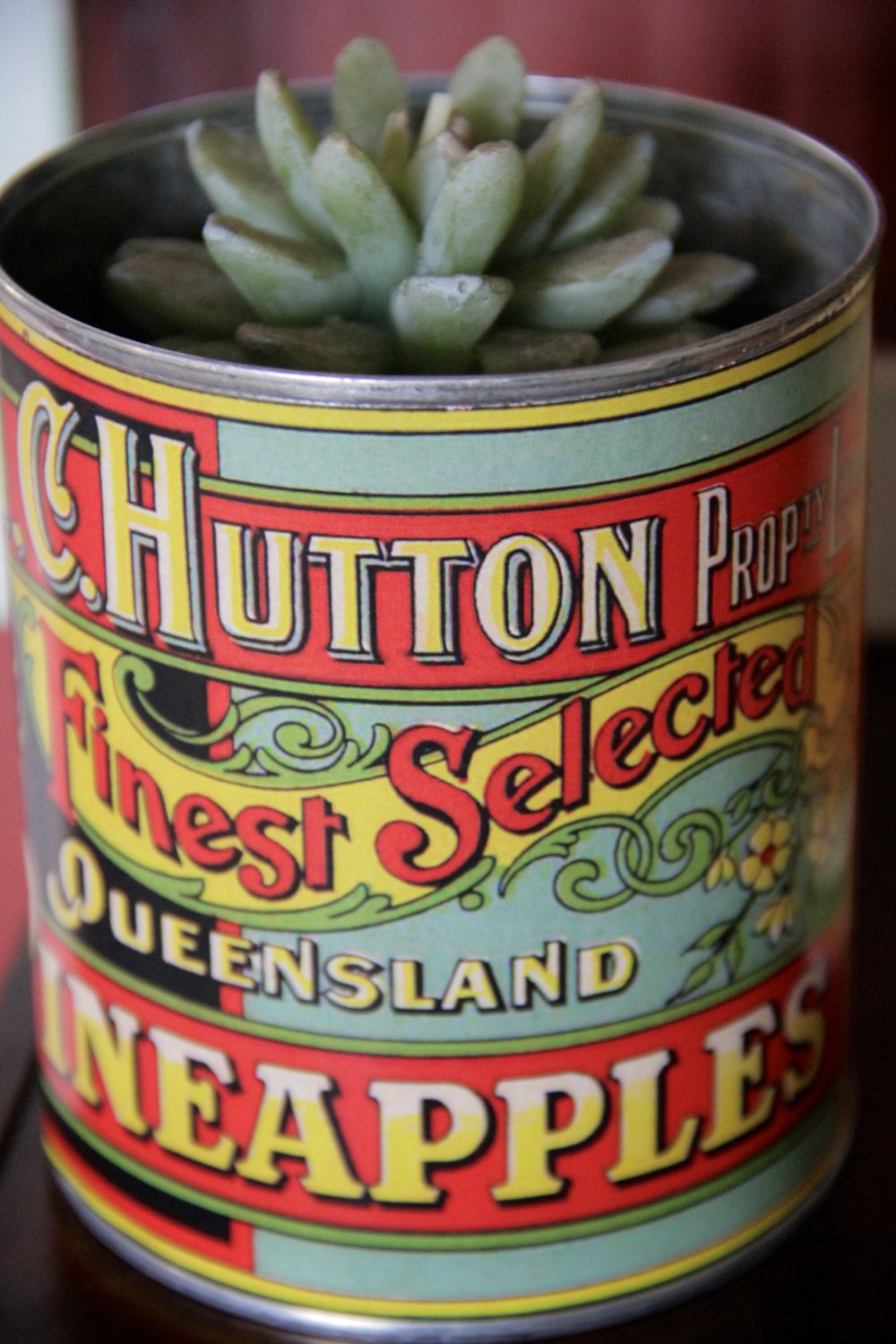 Vintage Antique Australian Canning Labels Reproduced from