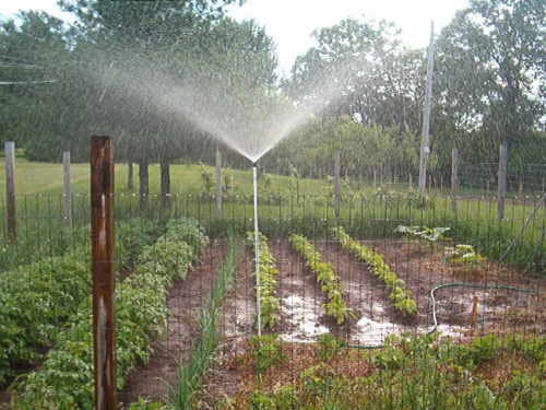 Home Made Sprinkler Lawn and Garden Sprinkler WORKS