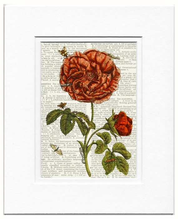 Rose dictionary page print