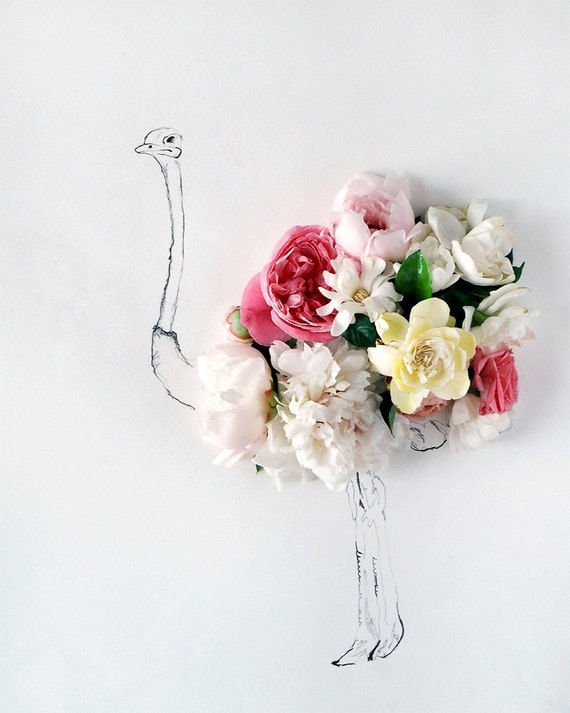 ostrich and Flower Photograph No. 88243