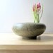 sage green pebble pottery bowl flower vase bulb starter