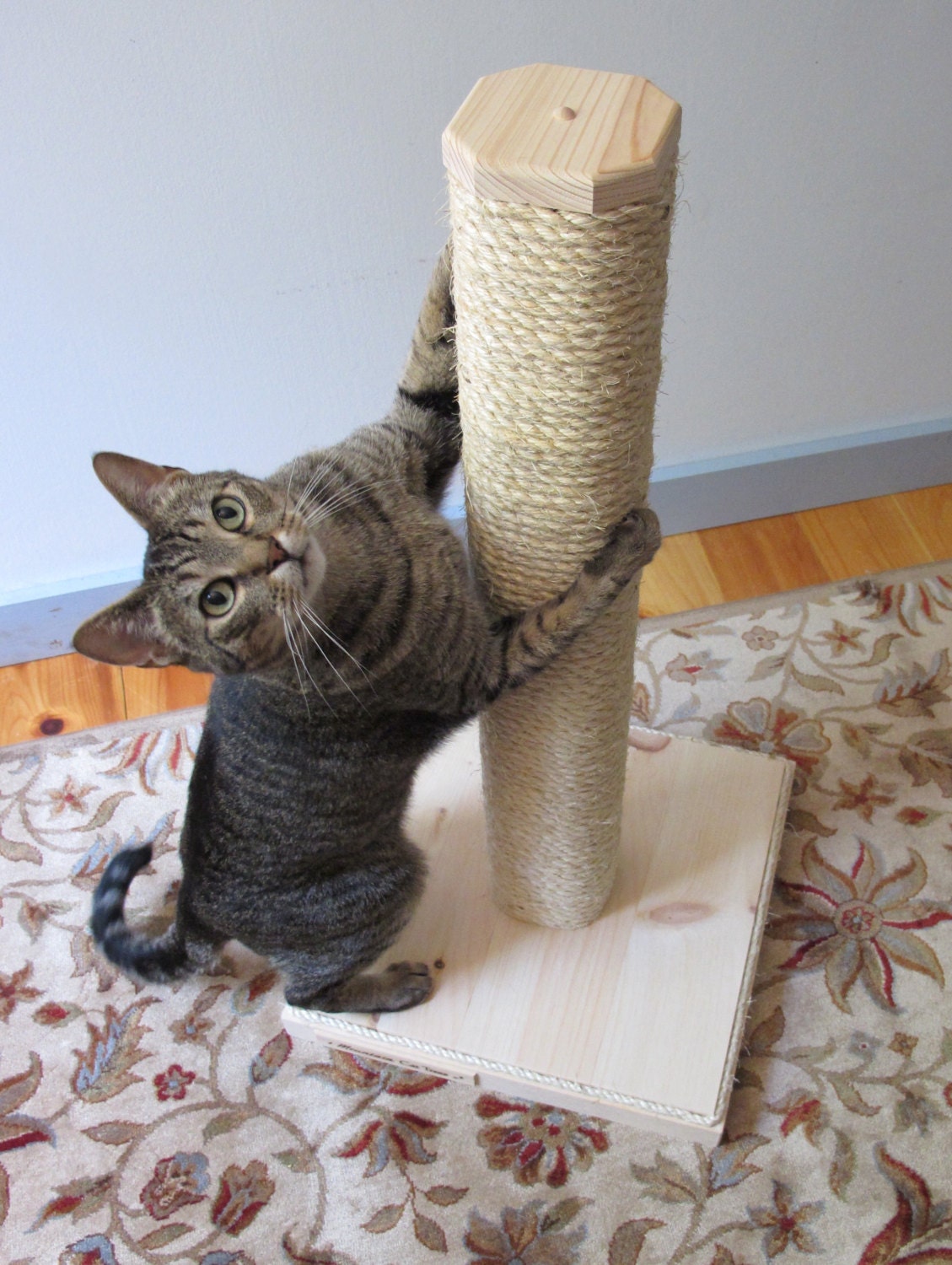 diy scratch pad for cat