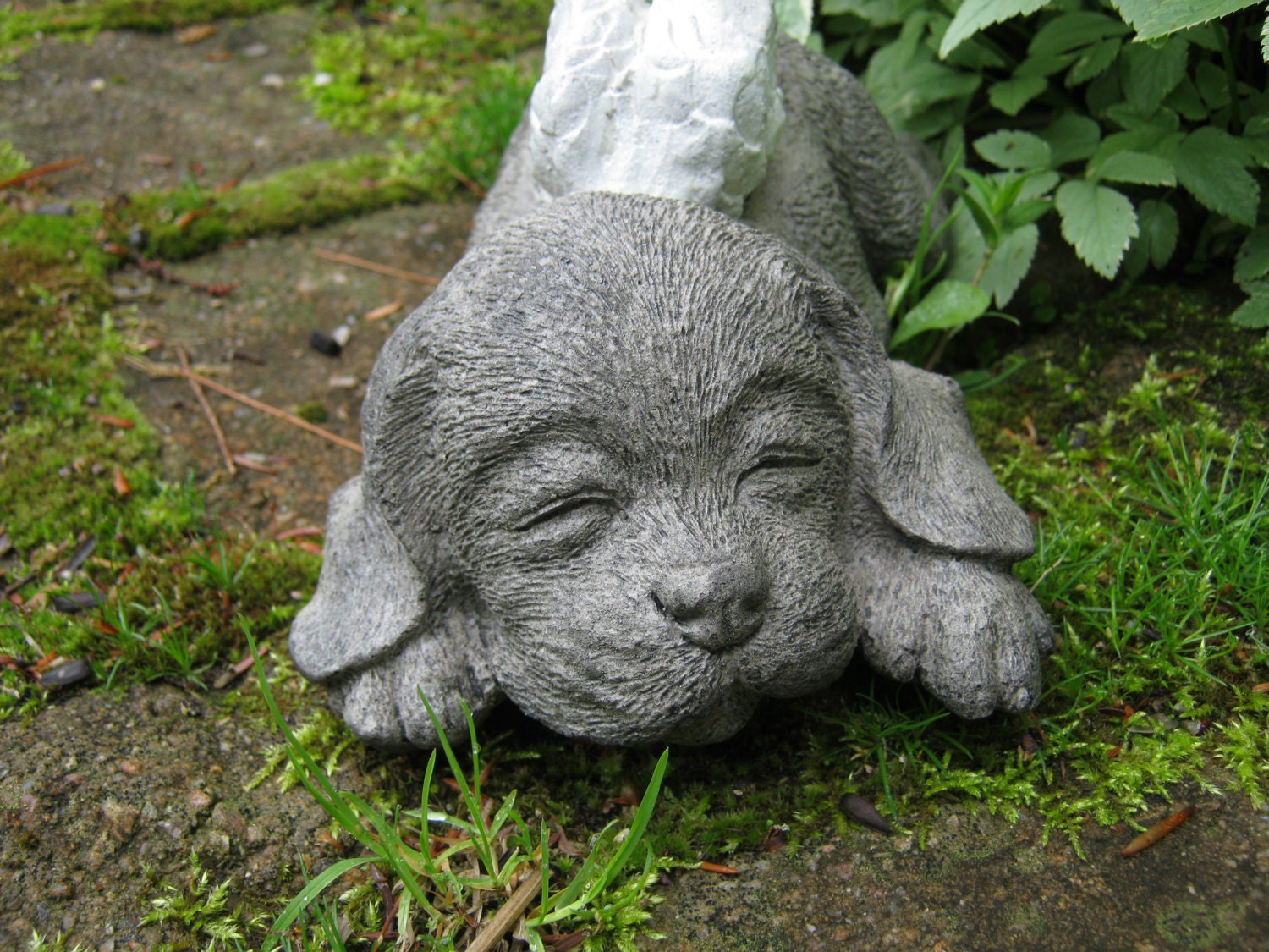 dog angel statues garden