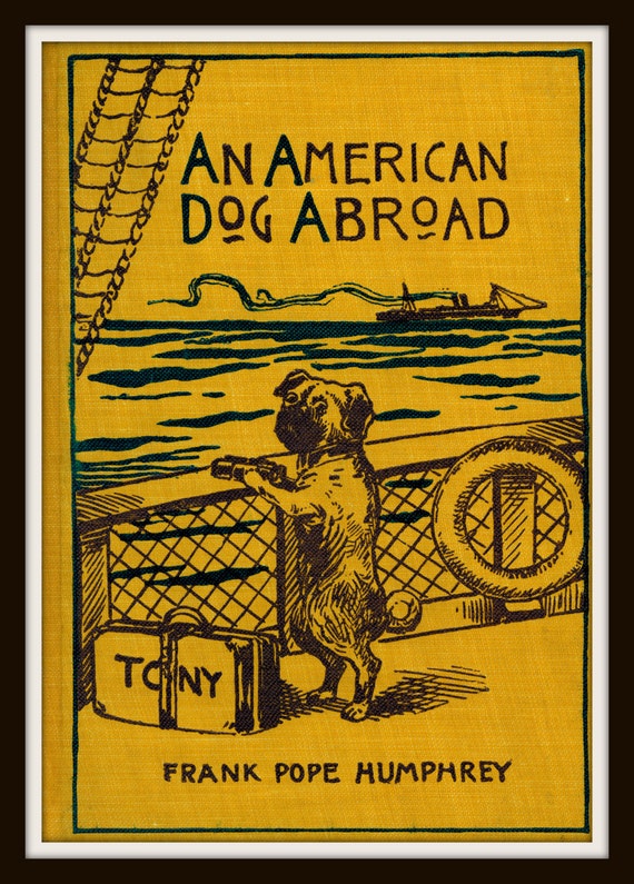 A Dog
