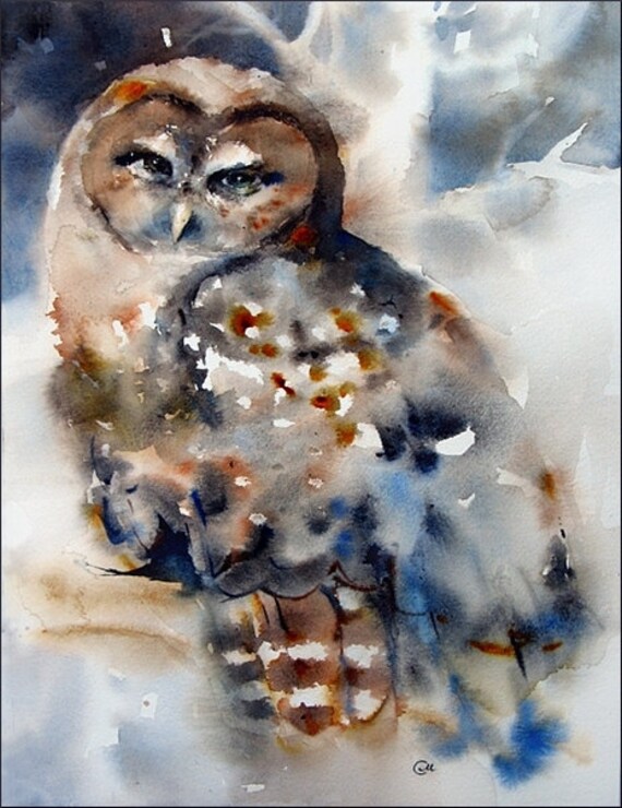 Chenoa the Owl - Original Watercolor Painting 16x12 inches