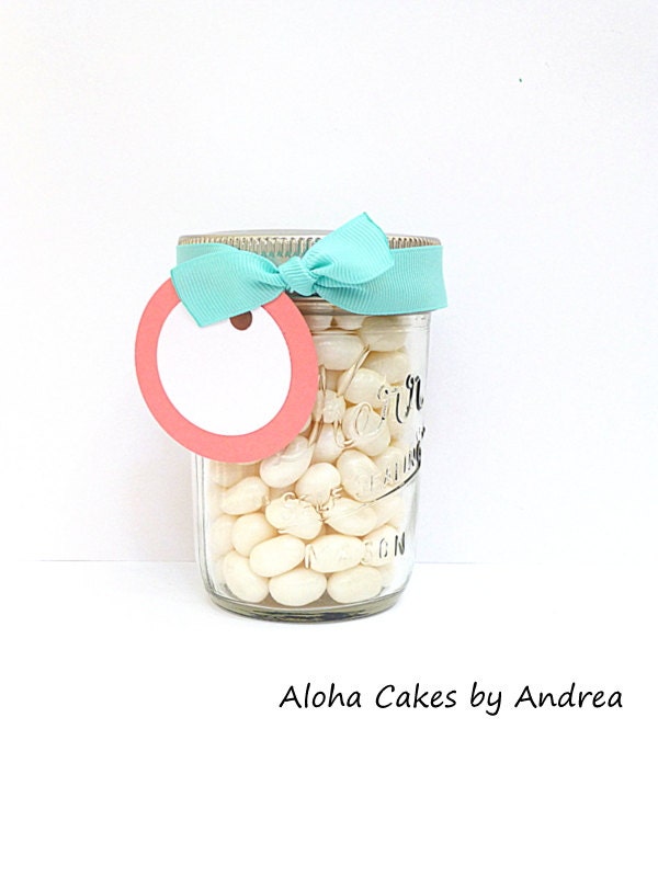 Mason Jars Bridal Shower Or Wedding Favor Teal and Coral