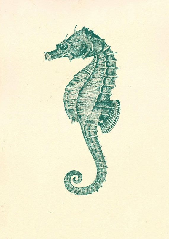 Items similar to Vintage Blue Sea Horse, Marine Life Illustration, Sea ...