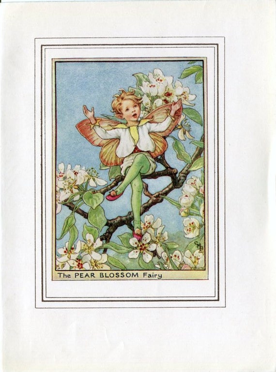 Pear Blossom Flower Fairy Vintage Print c.1950 Cicely Mary