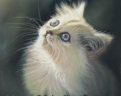 White Cat Art - Cat Lover - Fluffy Kitten - White Cat Gift White Cat Art - Cat Lover - Fluffy Kitten - White Cat Gift