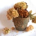 Vintage Pottery Garden Planter Jardiniere