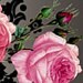 JackiesFlowers