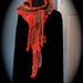 Red Everyday Scarf in red brown