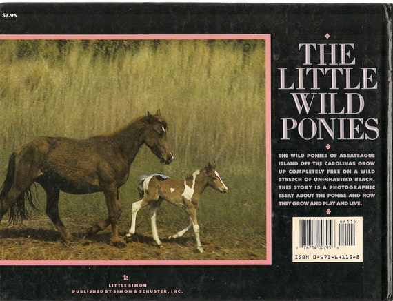 VINTAGE KIDS BOOK The Little Wild Ponies