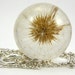 Dandelion Season Has Started, Large Resin Round with Full Dandelion and Sterling Silver Chain, Dandelion Pendant