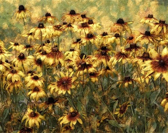 Enhanced Fine Art Photography, Digital Enhanced Photo, Office Wall Art, Giclee Print