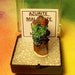 AZURITE MALACHITE QUARTZ Natural Terminated Crystal In Perky Box From Morocco Rare Metaphysical Collectible Supplies Sale