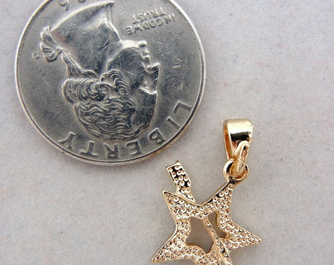 Small Gold-tone Star with Arrow Pendant