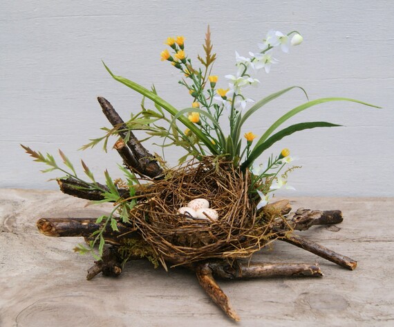 bird nest spring nest coffee table decor spring bird nest spring nest coffee table decor spring