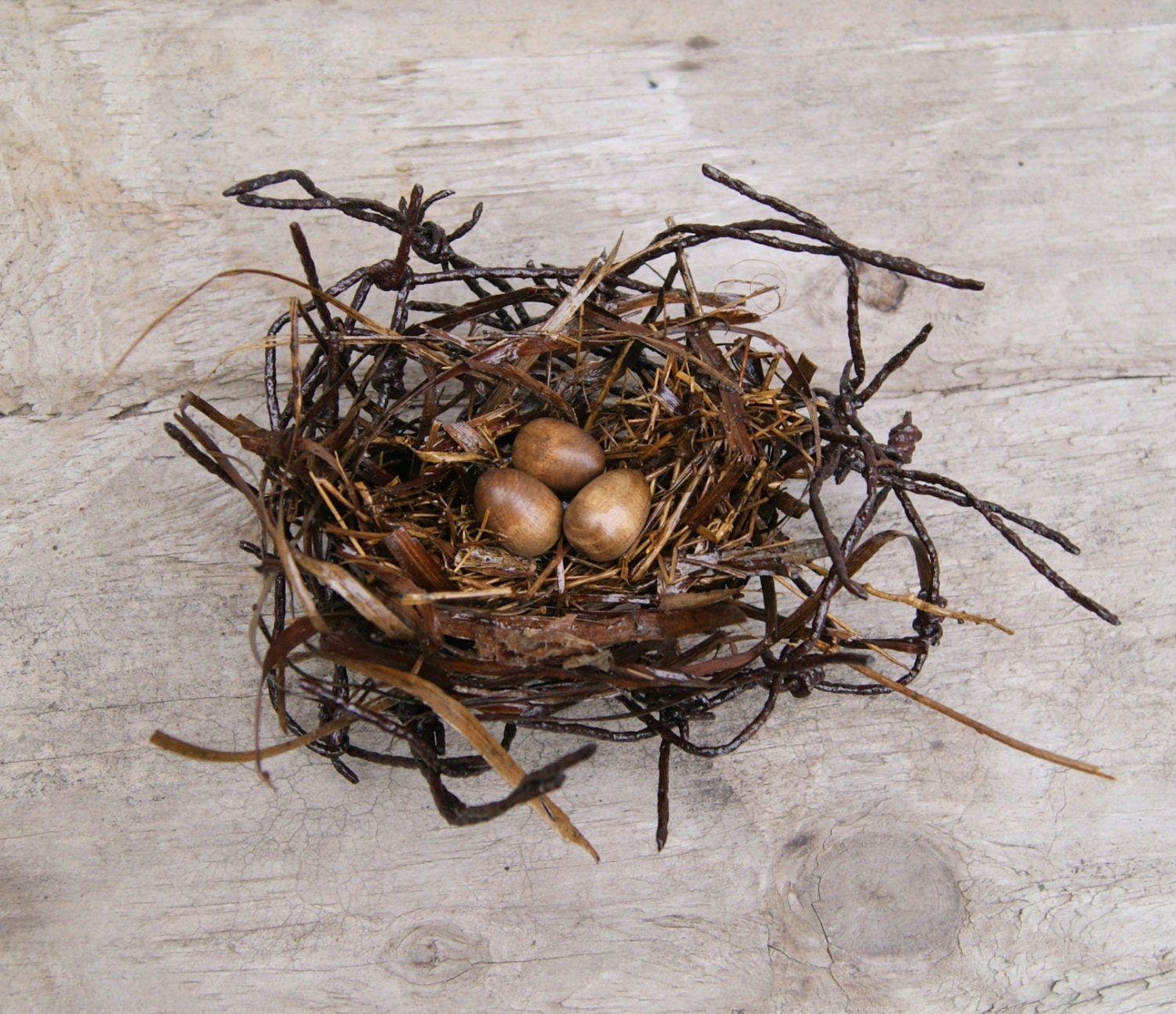 Bird Nest Natural Nest Vintage Barbed Wire