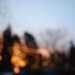 crabapple33