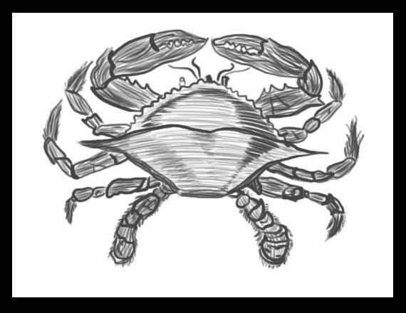 Items similar to Blue Crab Art Drawing 8.5x11 on Etsy