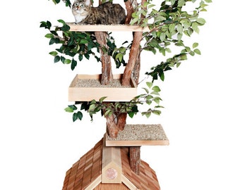 Mature (large) Cat Tree House