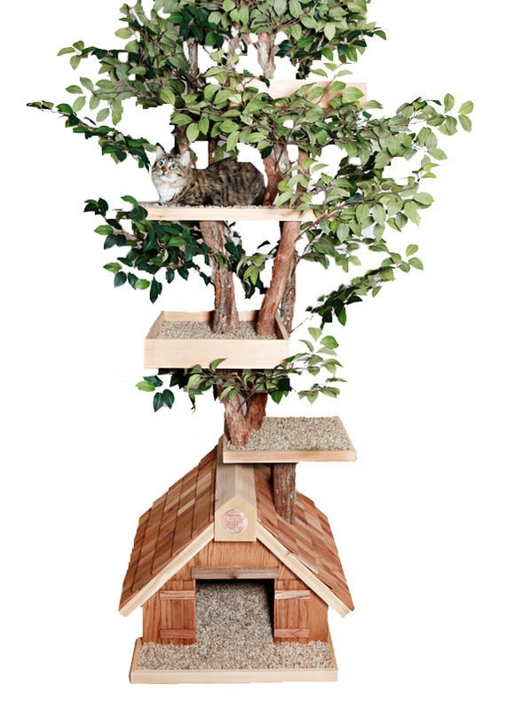 stwory-potwory-i-ja: 6 Awesome Mature Cat Tree House