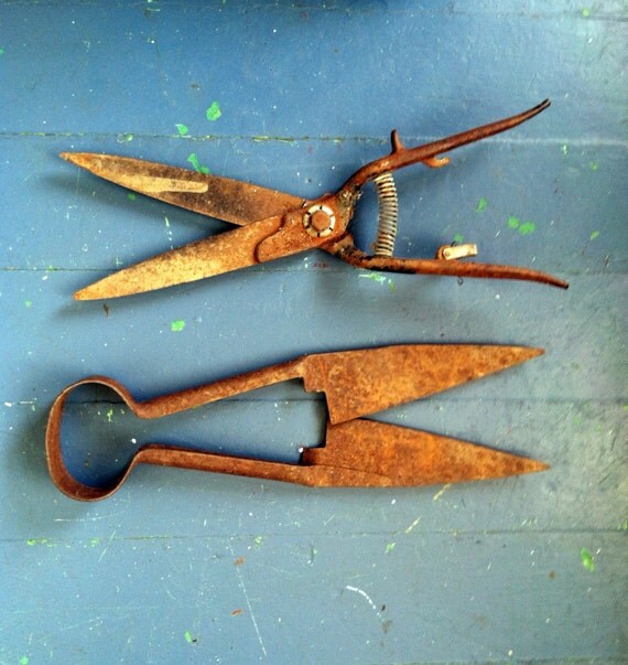 2 Rusty Gardening Shears Clippers Scissors Hedge Trimmers